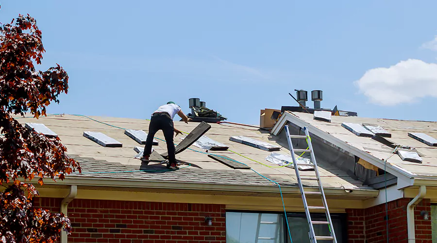 dynamic-roof-shapes-and-angles