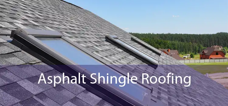 Asphalt Shingle Roofing 
