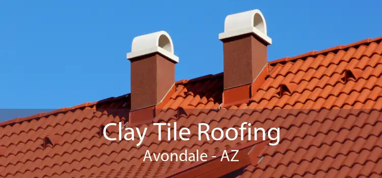 Clay Tile Roofing Avondale - AZ