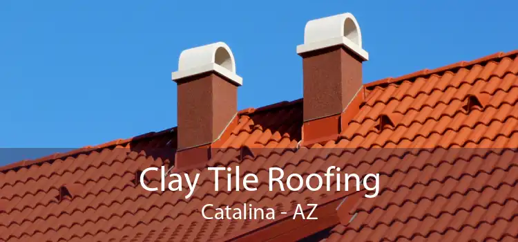 Clay Tile Roofing Catalina - AZ