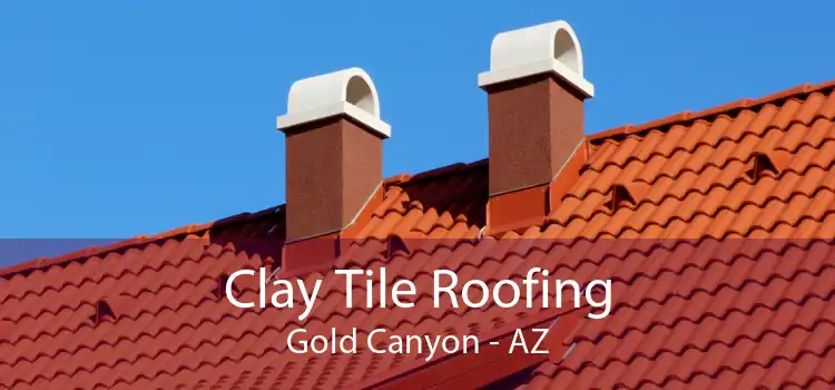 Clay Tile Roofing Gold Canyon - AZ