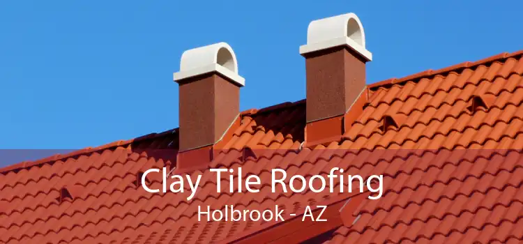 Clay Tile Roofing Holbrook - AZ