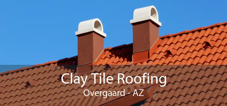 Clay Tile Roofing Overgaard - AZ