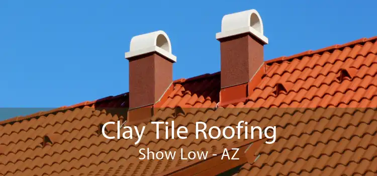 Clay Tile Roofing Show Low - AZ