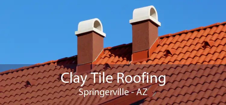 Clay Tile Roofing Springerville - AZ