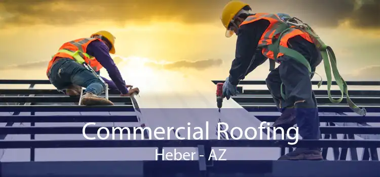Commercial Roofing Heber - AZ