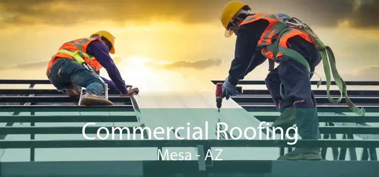 Commercial Roofing Mesa - AZ