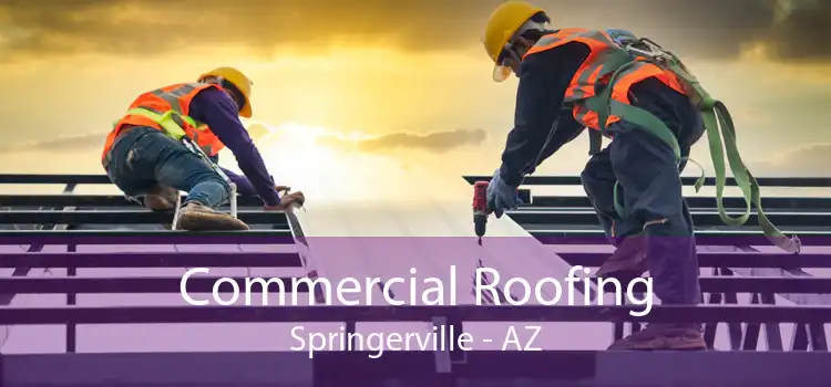 Commercial Roofing Springerville - AZ