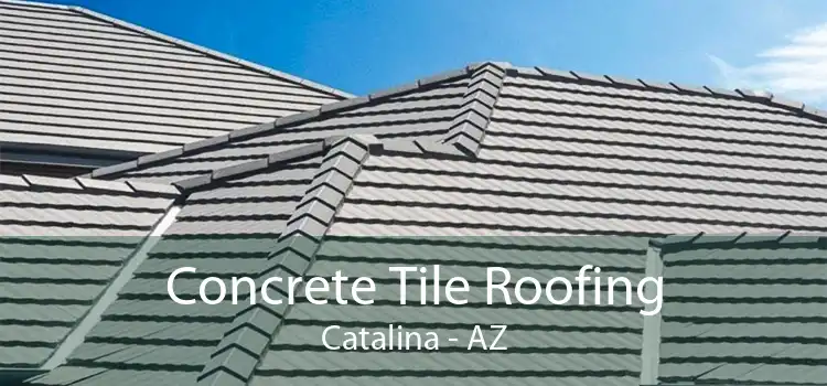 Concrete Tile Roofing Catalina - AZ