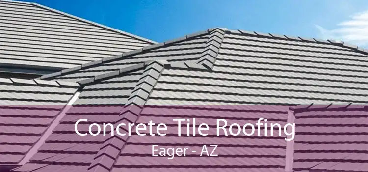 Concrete Tile Roofing Eager - AZ