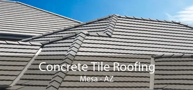 Concrete Tile Roofing Mesa - AZ
