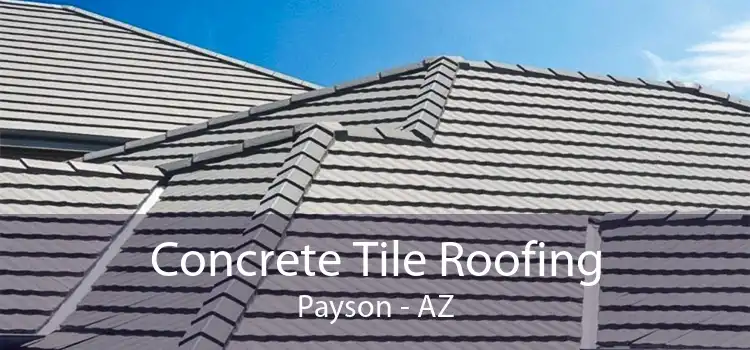 Concrete Tile Roofing Payson - AZ