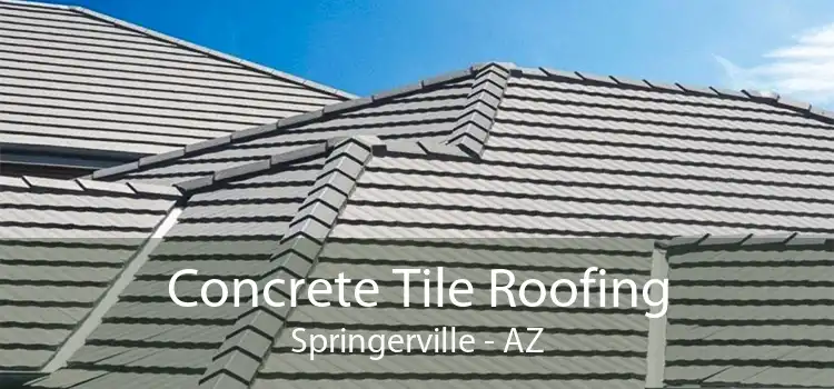 Concrete Tile Roofing Springerville - AZ