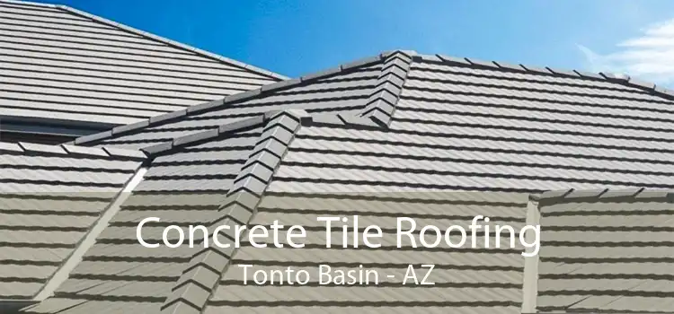 Concrete Tile Roofing Tonto Basin - AZ