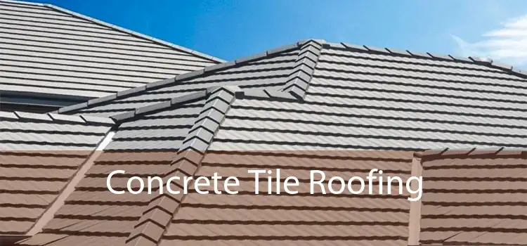 Concrete Tile Roofing 