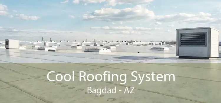 Cool Roofing System Bagdad - AZ