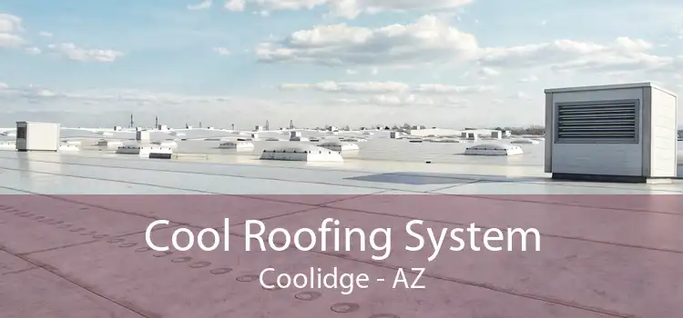 Cool Roofing System Coolidge - AZ