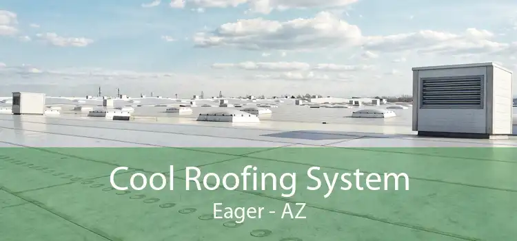 Cool Roofing System Eager - AZ