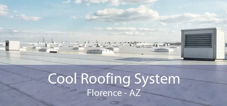 Cool Roofing System Florence - AZ