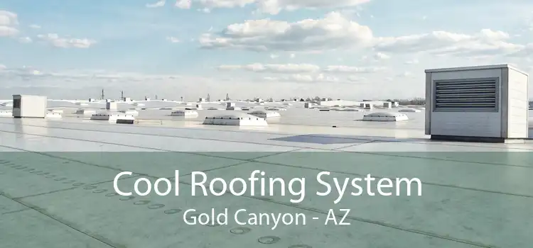 Cool Roofing System Gold Canyon - AZ