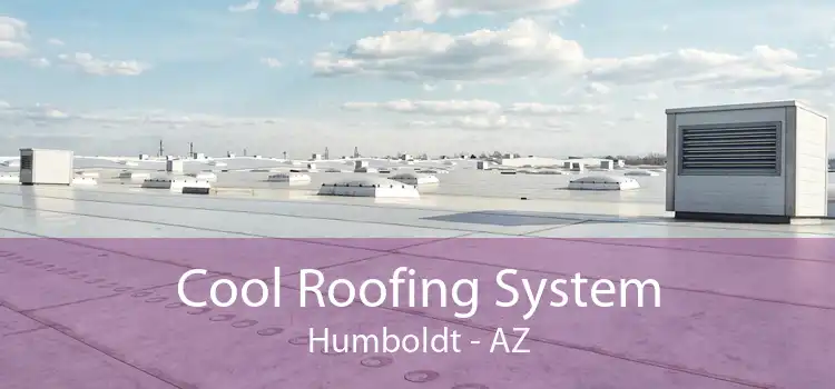 Cool Roofing System Humboldt - AZ