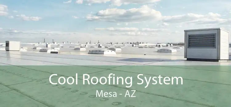 Cool Roofing System Mesa - AZ