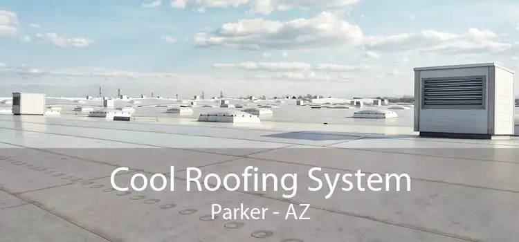 Cool Roofing System Parker - AZ