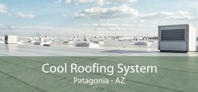 Cool Roofing System Patagonia - AZ