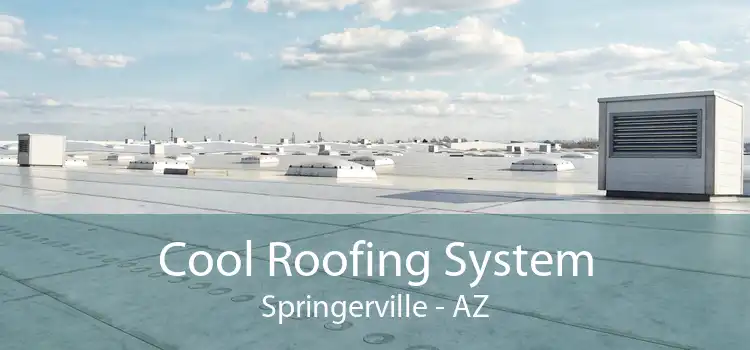 Cool Roofing System Springerville - AZ
