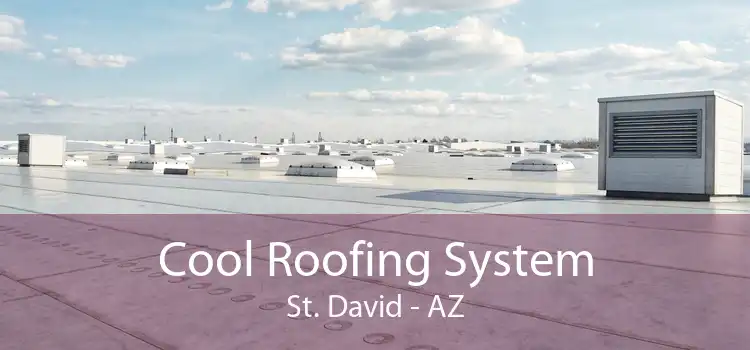 Cool Roofing System St. David - AZ