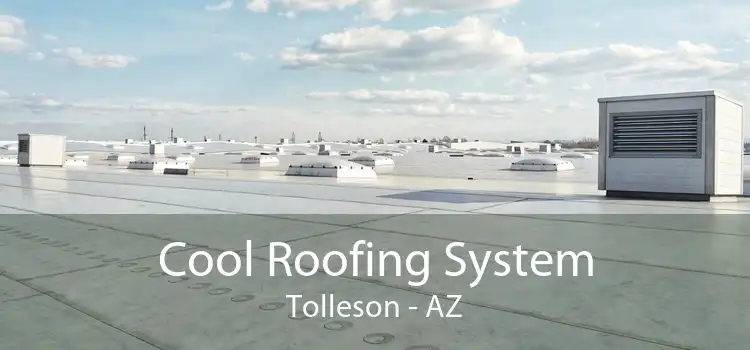 Cool Roofing System Tolleson - AZ