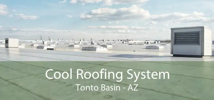 Cool Roofing System Tonto Basin - AZ