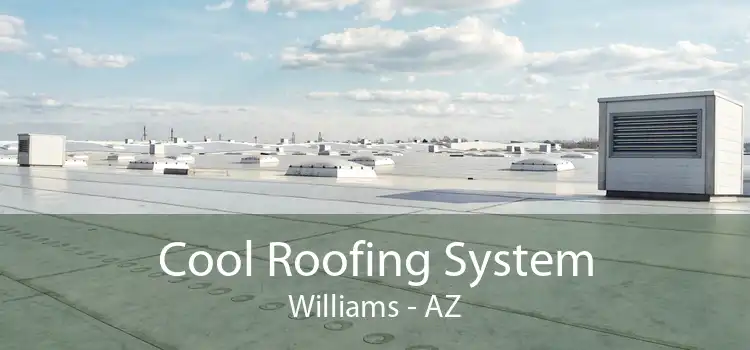 Cool Roofing System Williams - AZ