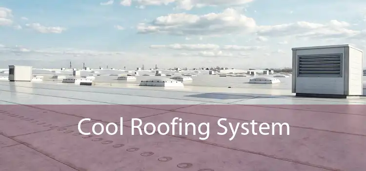 Cool Roofing System 