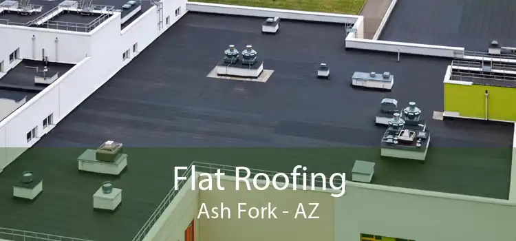 Flat Roofing Ash Fork - AZ