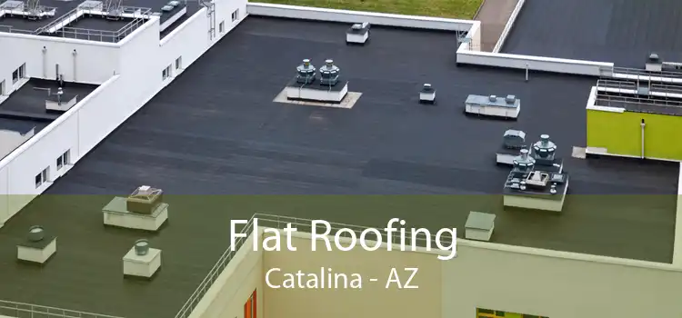 Flat Roofing Catalina - AZ