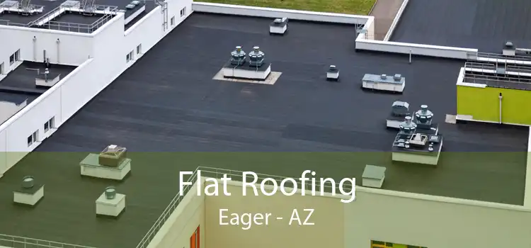 Flat Roofing Eager - AZ