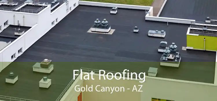 Flat Roofing Gold Canyon - AZ