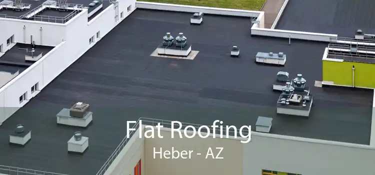 Flat Roofing Heber - AZ