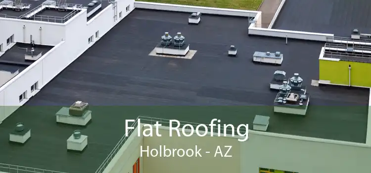 Flat Roofing Holbrook - AZ