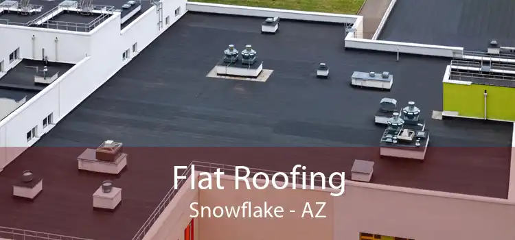 Flat Roofing Snowflake - AZ