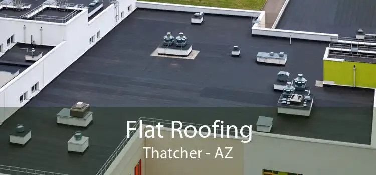 Flat Roofing Thatcher - AZ