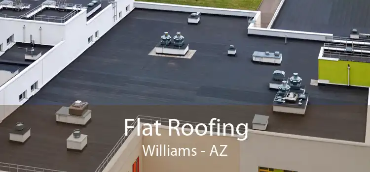 Flat Roofing Williams - AZ