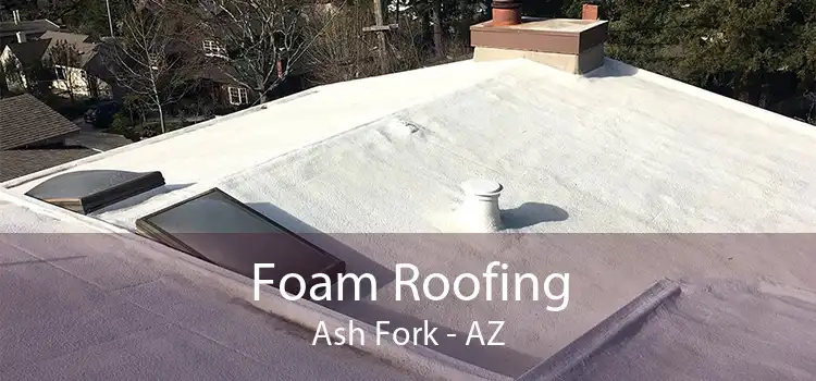 Foam Roofing Ash Fork - AZ