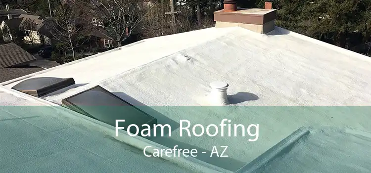 Foam Roofing Carefree - AZ