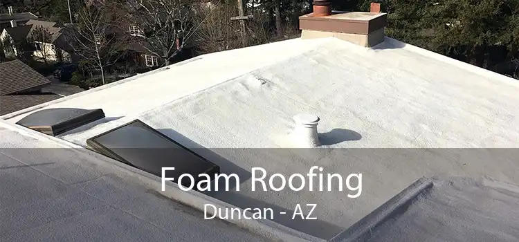 Foam Roofing Duncan - AZ