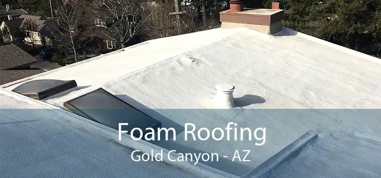 Foam Roofing Gold Canyon - AZ