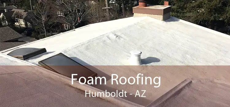 Foam Roofing Humboldt - AZ