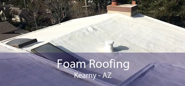 Foam Roofing Kearny - AZ