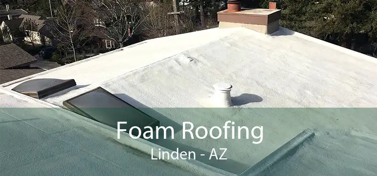 Foam Roofing Linden - AZ